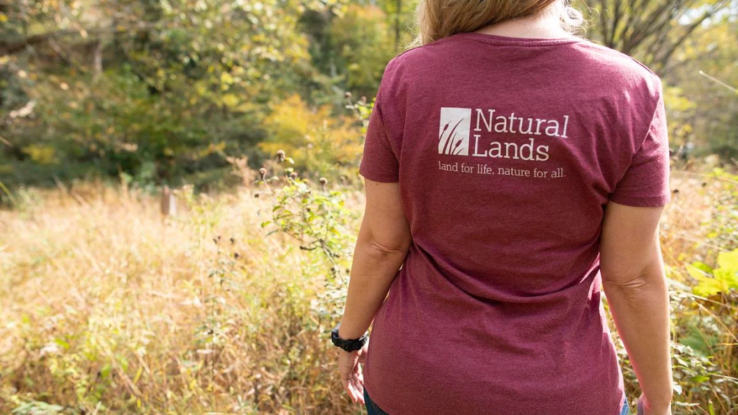 the back of a person wearing a red t-shirt with a Natural Lands logo on it standing in front of a meadow in fall