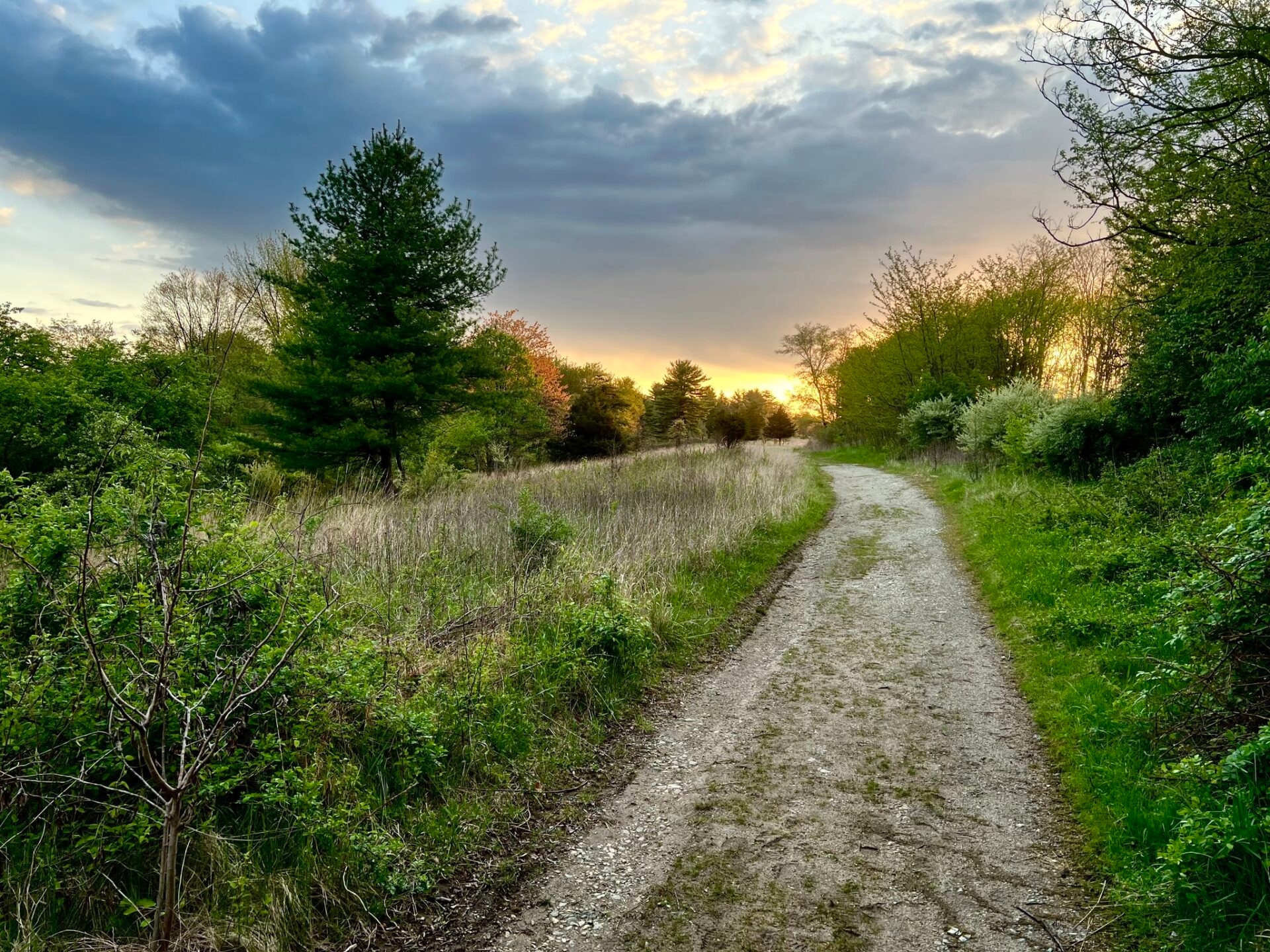 a path leading through a meadow and trees at sunrise in spring at Willisbrook Preserve