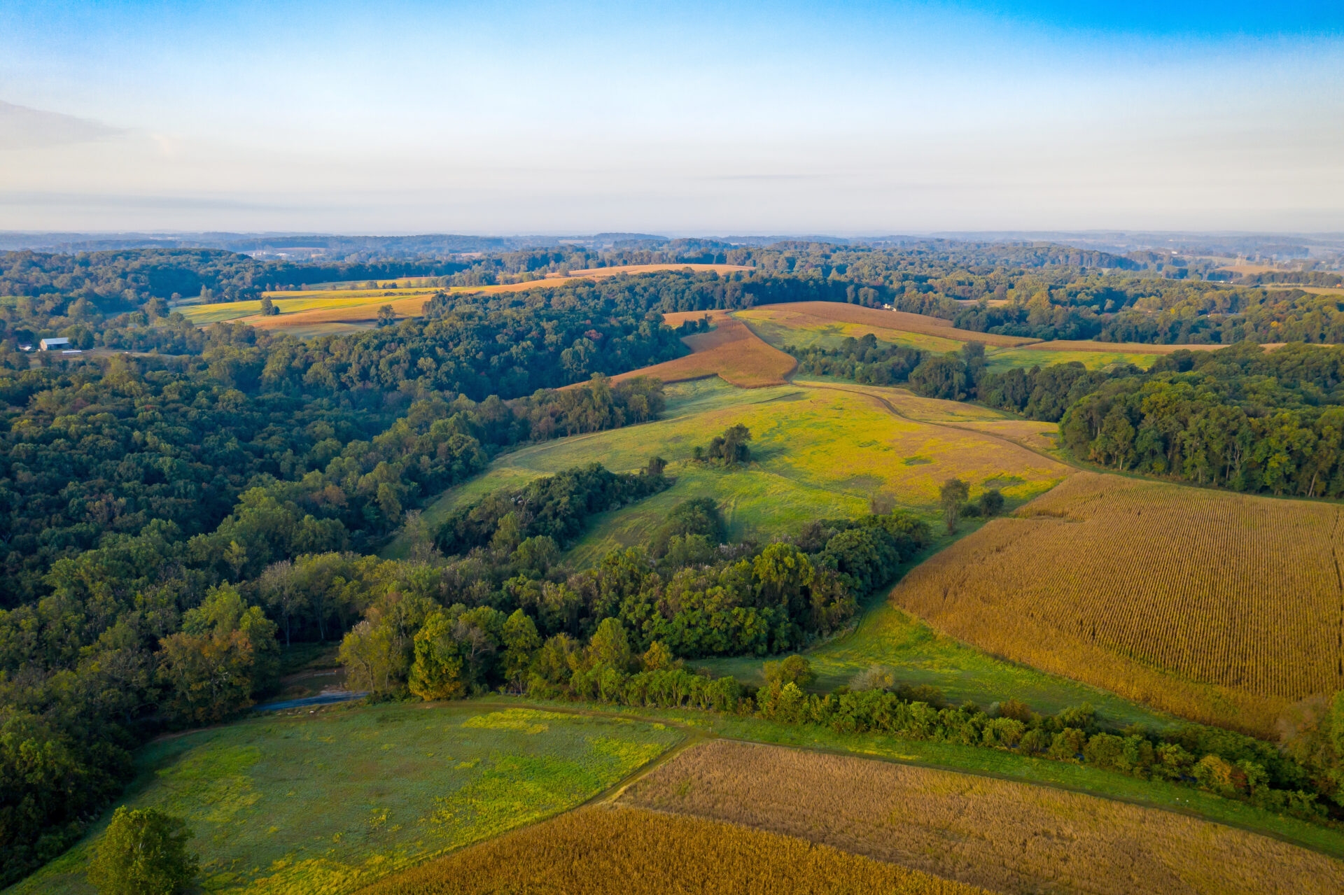 an aerial view of agricultural pastures and patches of green trees with a light blue sky