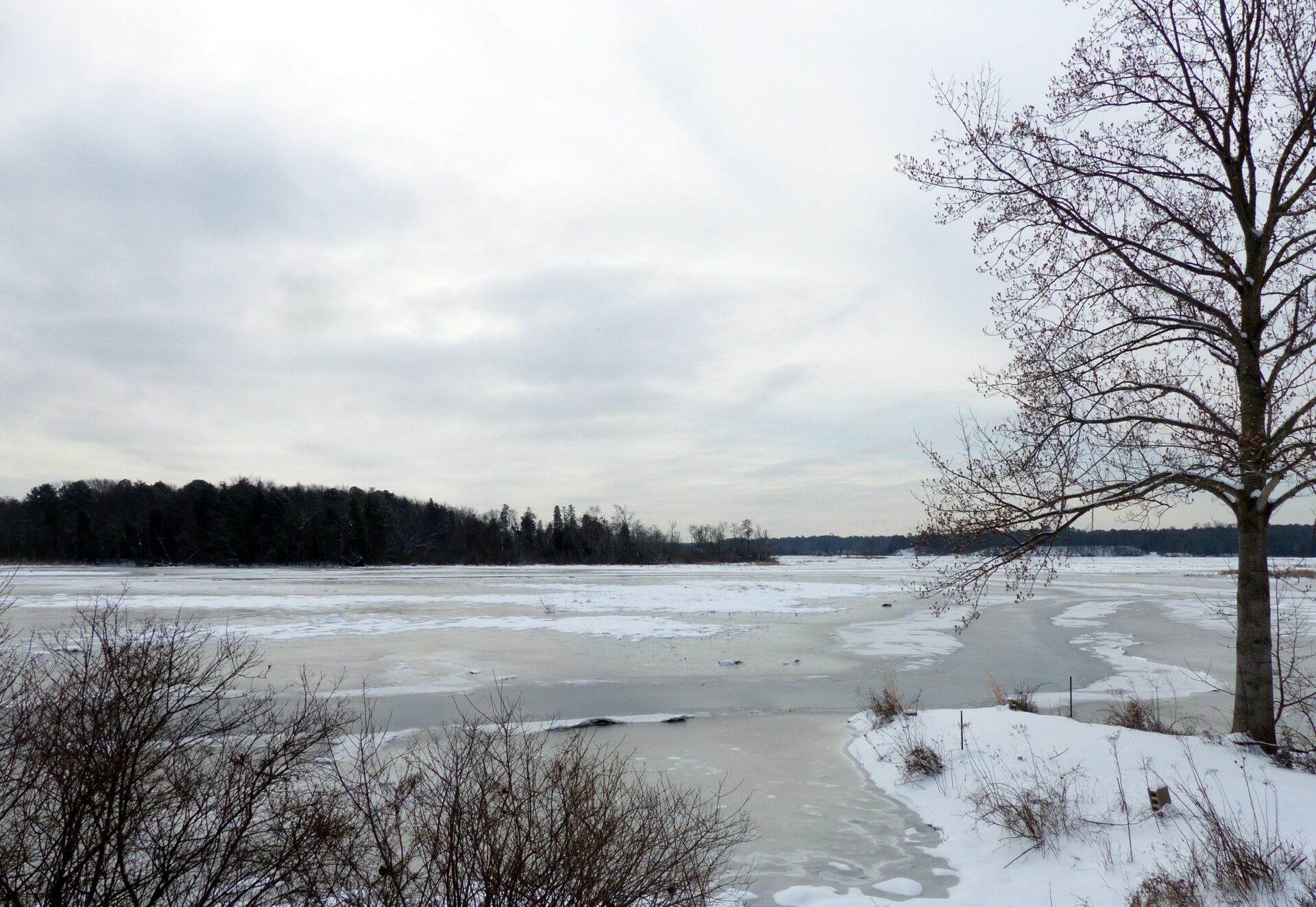 a frozen body of water with patches of snow and a cloudy sky - Frozen wetlands on a cloudy winter day at Harold N. Peek Preserve.
