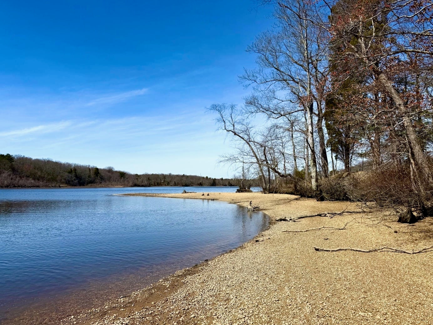 a rocky shore and a river with a bright blue sky - The Maurice River reflecting a clear blue sky at Harold N. Peek Preserve.
