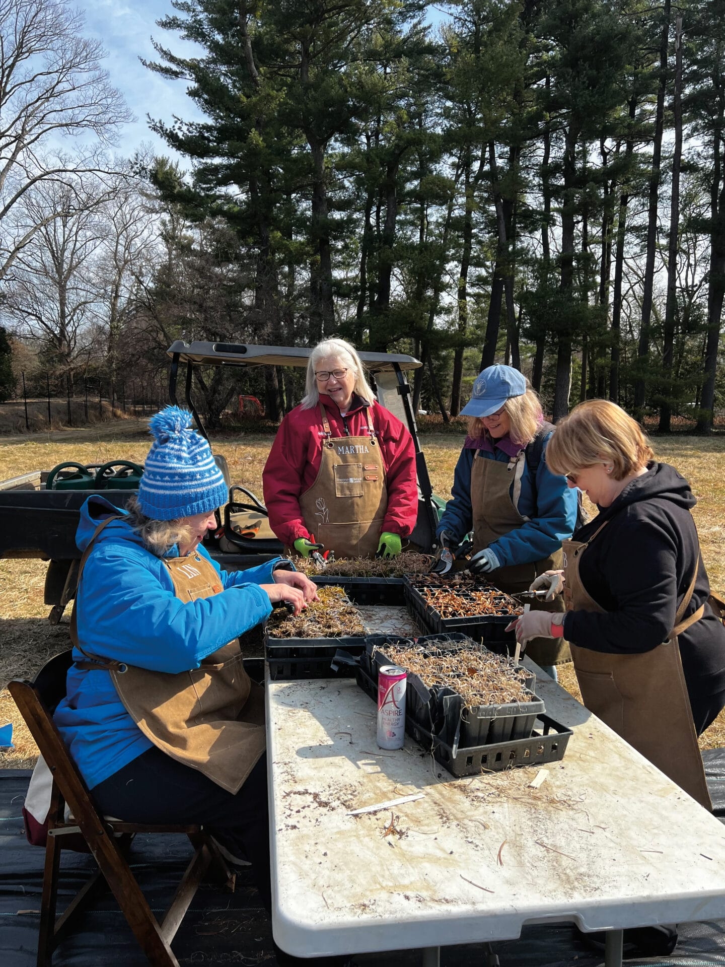 A group of four women in aprons gathered around a table outside working on planting seedlings