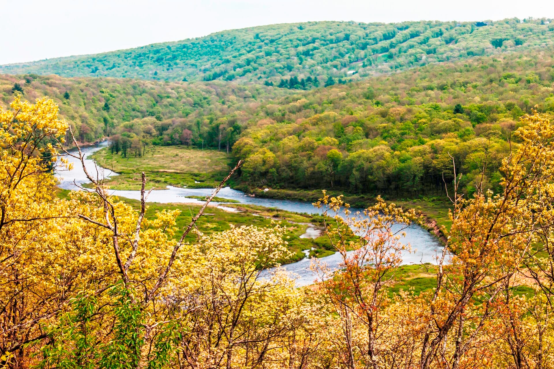 River running through a forest with fall colors
