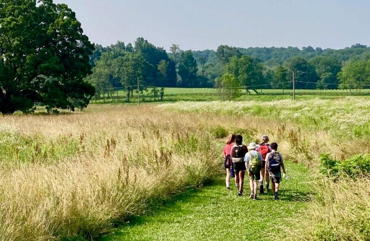 A group of visitors hikes along a meadow trail toward a huge white oak tree.