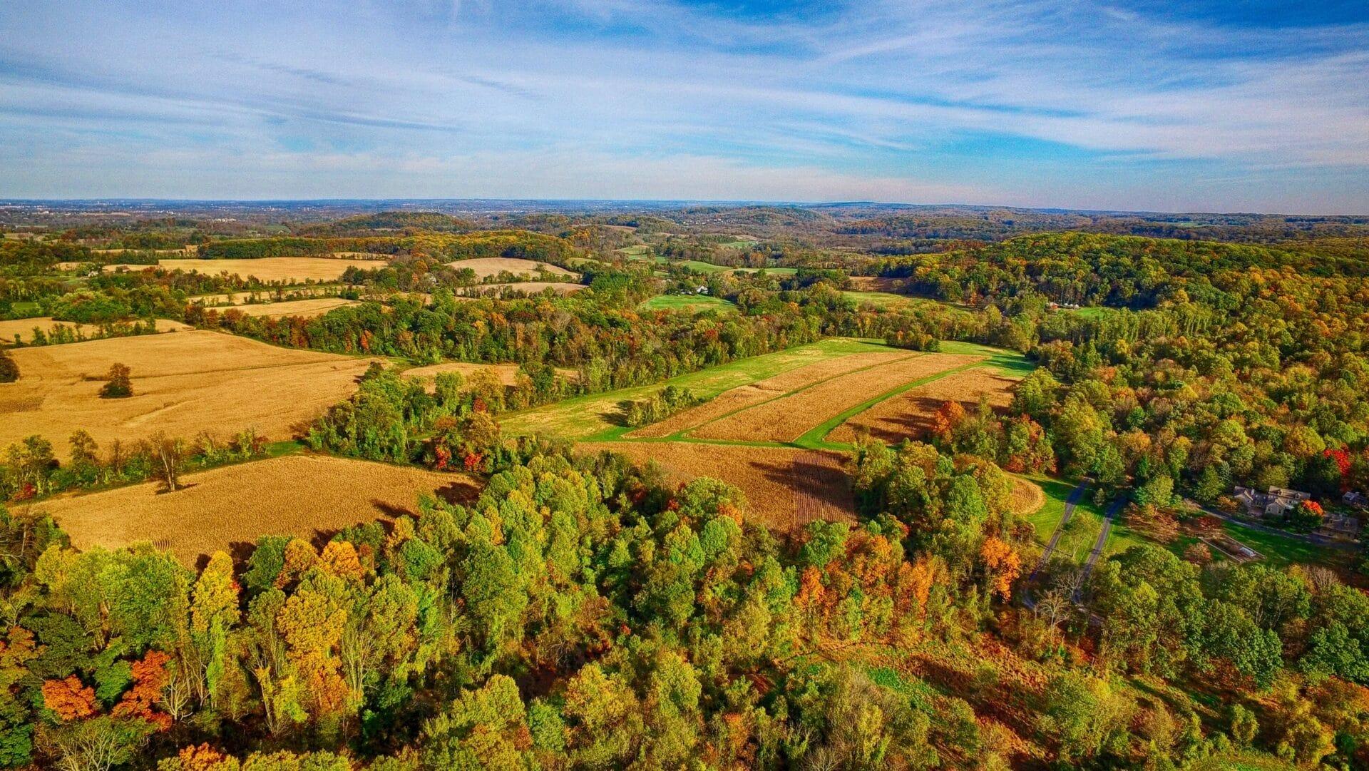 an aerial view of orange fields surrounded by forests of green and orange trees with a blue sky in the background