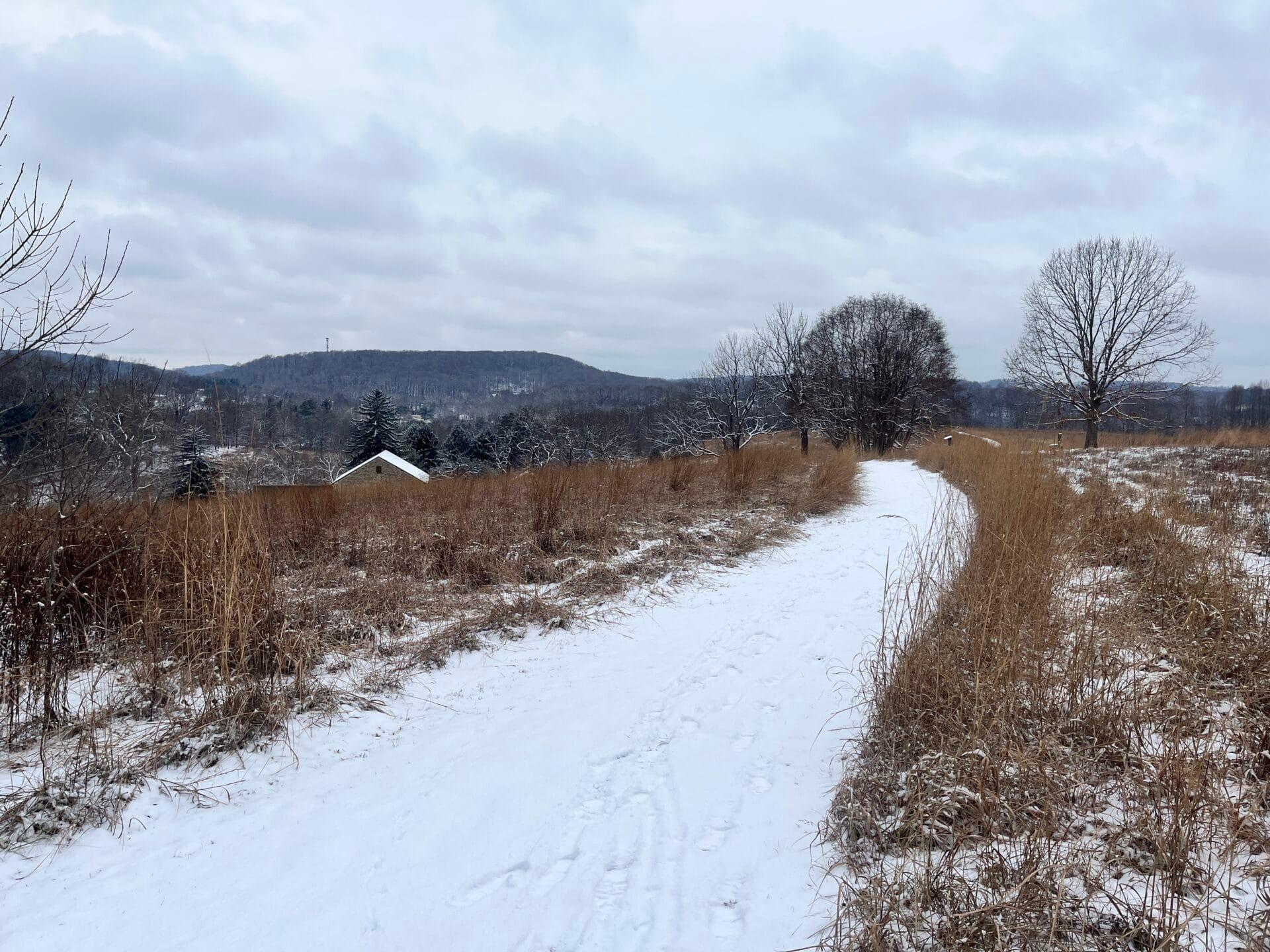 a snow-covered field with footprints cuts through a field on a cloudy day