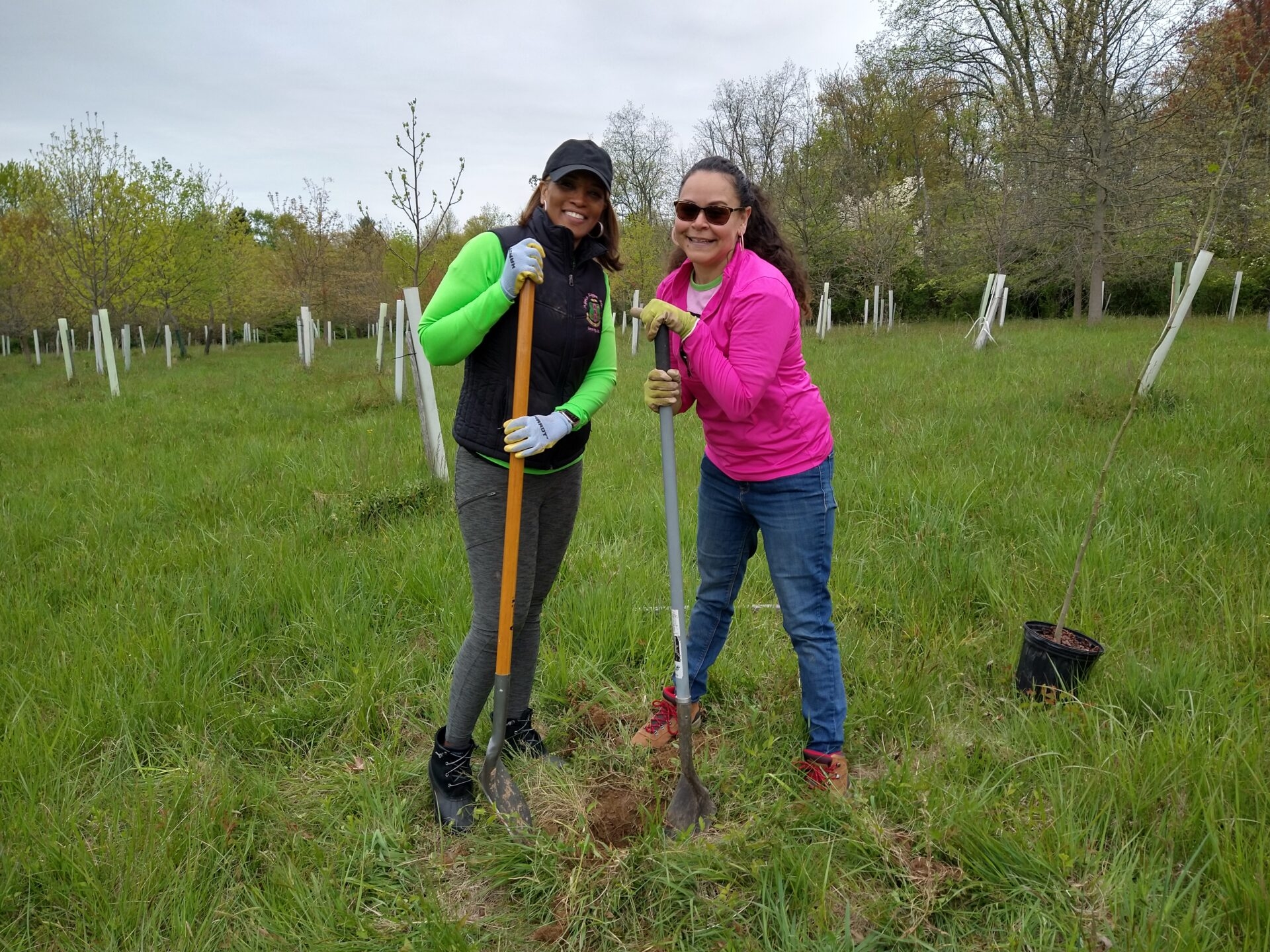 two women standing and smiling at camera with shovels in hand and freshly planted trees protected by plastic tubes in the background